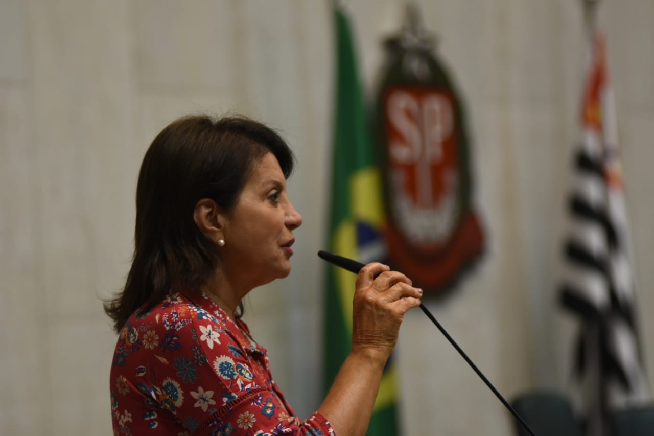 Read more about the article Na votação do orçamento estadual, deputada Bebel garante recursos para saúde, educação e habitação